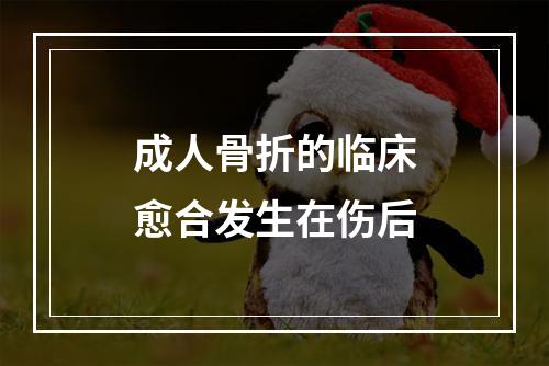 成人骨折的临床愈合发生在伤后