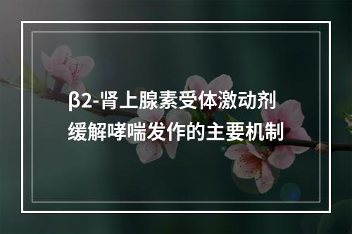 β2-肾上腺素受体激动剂缓解哮喘发作的主要机制