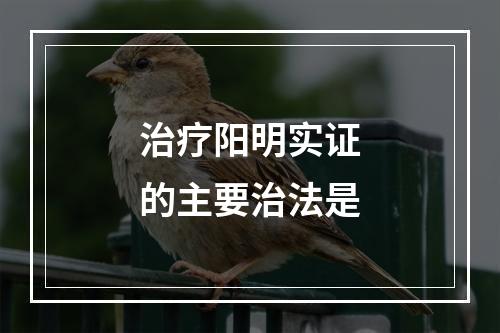 治疗阳明实证的主要治法是