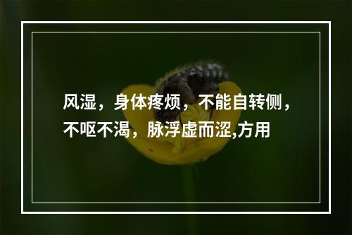 风湿，身体疼烦，不能自转侧，不呕不渴，脉浮虚而涩,方用