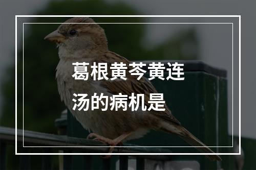 葛根黄芩黄连汤的病机是