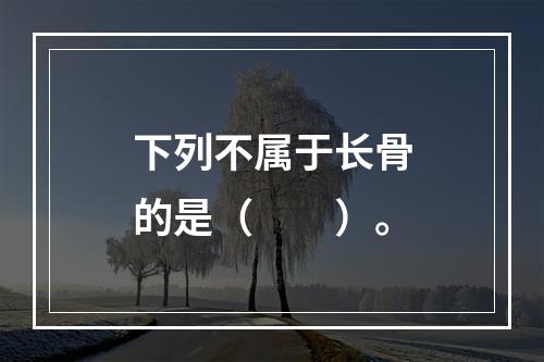 下列不属于长骨的是（　　）。