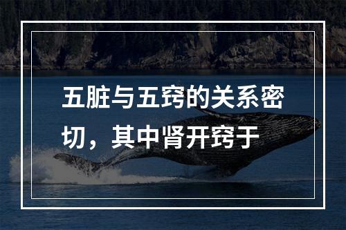 五脏与五窍的关系密切，其中肾开窍于