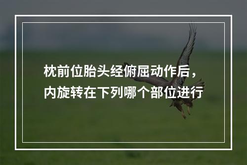 枕前位胎头经俯屈动作后，内旋转在下列哪个部位进行