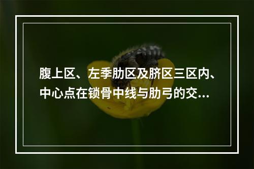 腹上区、左季肋区及脐区三区内、中心点在锁骨中线与肋弓的交点