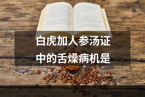 白虎加人参汤证中的舌燥病机是