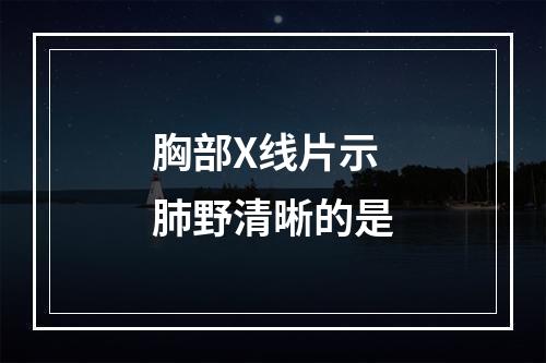 胸部X线片示肺野清晰的是