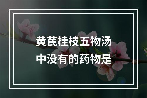 黄芪桂枝五物汤中没有的药物是