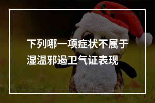 下列哪一项症状不属于湿温邪遏卫气证表现