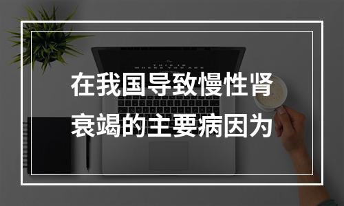 在我国导致慢性肾衰竭的主要病因为