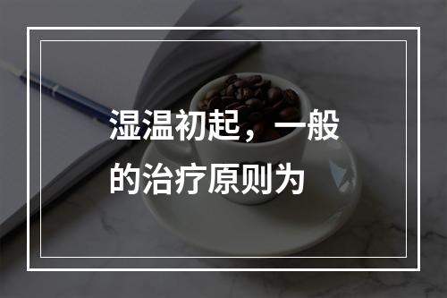 湿温初起，一般的治疗原则为