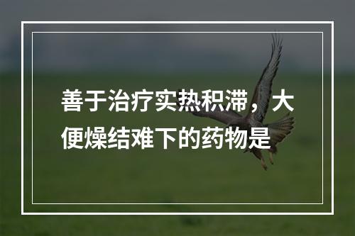 善于治疗实热积滞，大便燥结难下的药物是