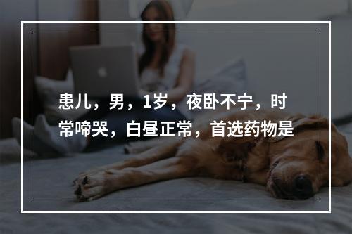 患儿，男，1岁，夜卧不宁，时常啼哭，白昼正常，首选药物是