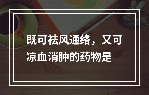 既可祛风通络，又可凉血消肿的药物是