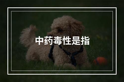 中药毒性是指