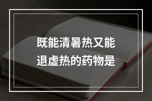 既能清暑热又能退虚热的药物是