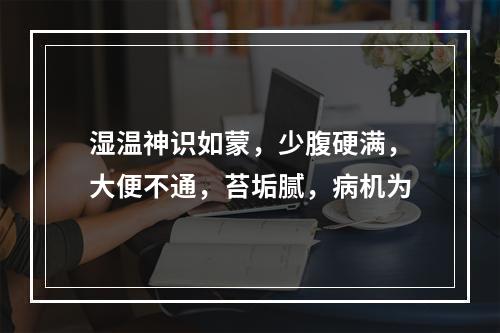 湿温神识如蒙，少腹硬满，大便不通，苔垢腻，病机为