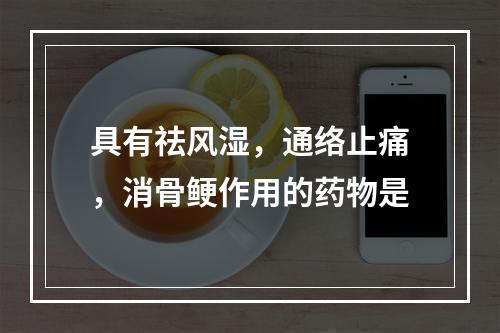 具有祛风湿，通络止痛，消骨鲠作用的药物是