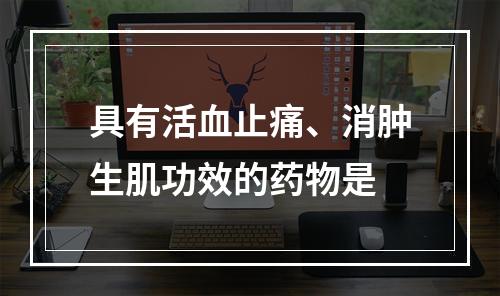 具有活血止痛、消肿生肌功效的药物是