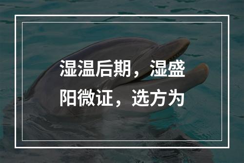 湿温后期，湿盛阳微证，选方为