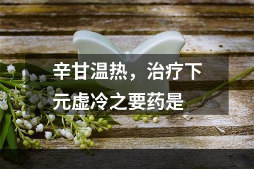 辛甘温热，治疗下元虚冷之要药是