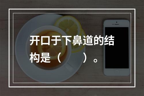 开口于下鼻道的结构是（　　）。