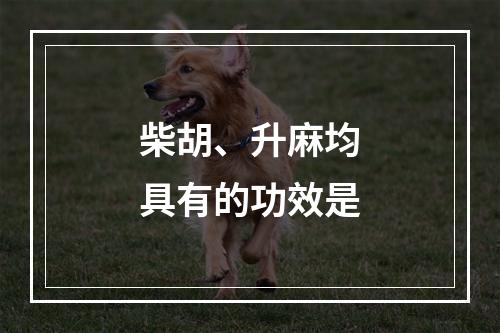 柴胡、升麻均具有的功效是