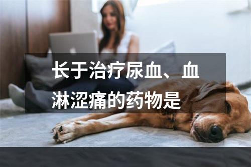 长于治疗尿血、血淋涩痛的药物是