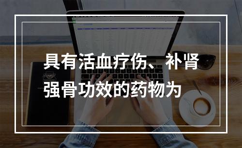 具有活血疗伤、补肾强骨功效的药物为