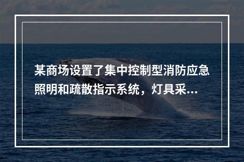 某商场设置了集中控制型消防应急照明和疏散指示系统，灯具采用自