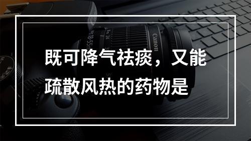 既可降气祛痰，又能疏散风热的药物是