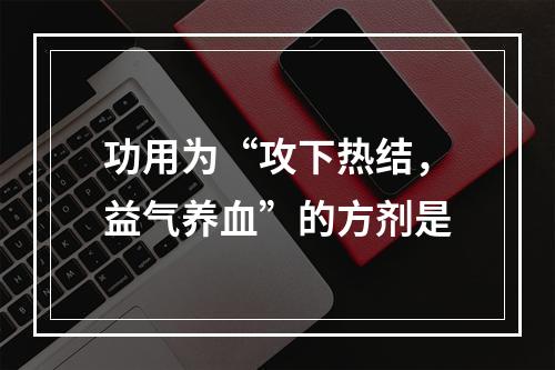 功用为“攻下热结，益气养血”的方剂是