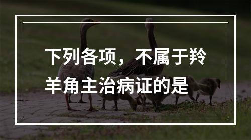 下列各项，不属于羚羊角主治病证的是