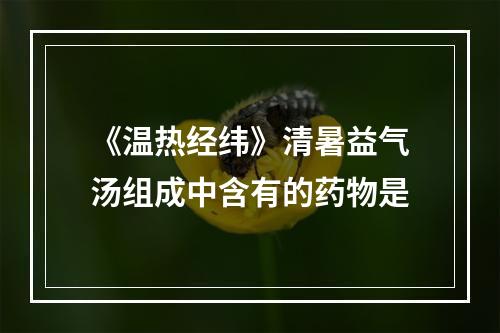 《温热经纬》清暑益气汤组成中含有的药物是