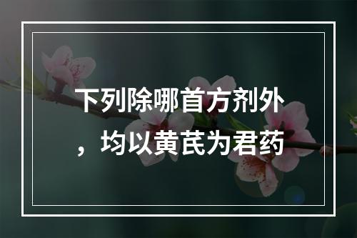 下列除哪首方剂外，均以黄芪为君药