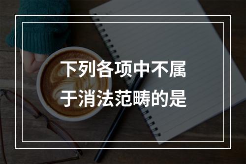 下列各项中不属于消法范畴的是