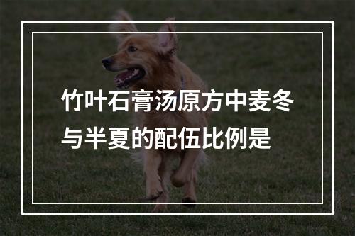 竹叶石膏汤原方中麦冬与半夏的配伍比例是