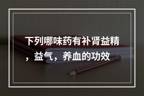 下列哪味药有补肾益精，益气，养血的功效