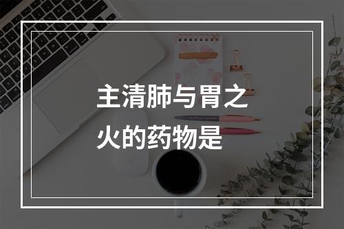 主清肺与胃之火的药物是