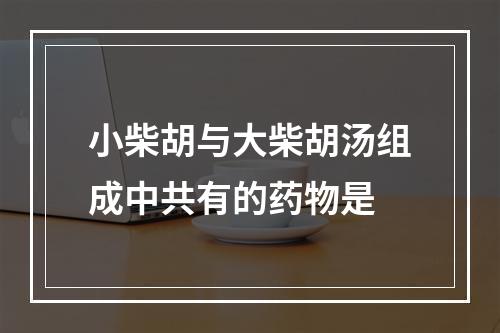 小柴胡与大柴胡汤组成中共有的药物是