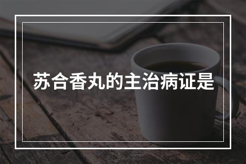 苏合香丸的主治病证是