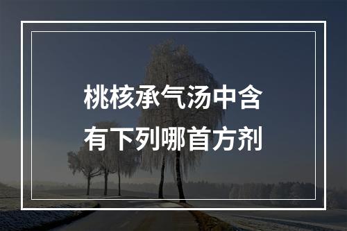 桃核承气汤中含有下列哪首方剂