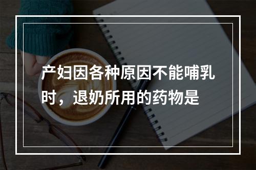 产妇因各种原因不能哺乳时，退奶所用的药物是