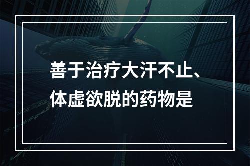 善于治疗大汗不止、体虚欲脱的药物是