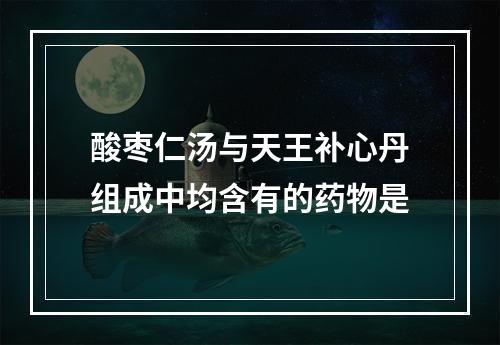 酸枣仁汤与天王补心丹组成中均含有的药物是