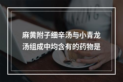 麻黄附子细辛汤与小青龙汤组成中均含有的药物是