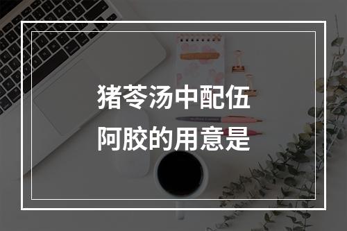 猪苓汤中配伍阿胶的用意是