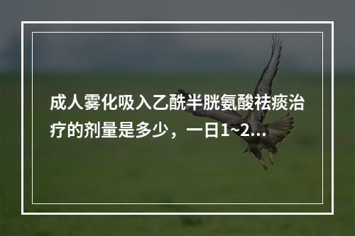 成人雾化吸入乙酰半胱氨酸祛痰治疗的剂量是多少，一日1~2次