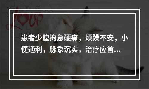 患者少腹拘急硬痛，烦躁不安，小便通利，脉象沉实，治疗应首选的