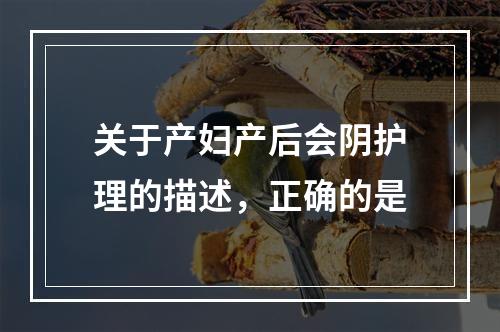 关于产妇产后会阴护理的描述，正确的是